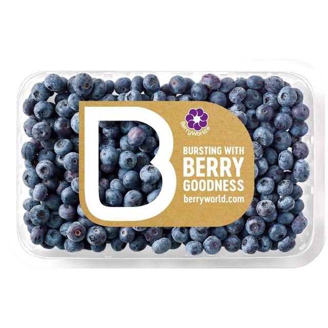 BerryWorld Blueberries, 300g