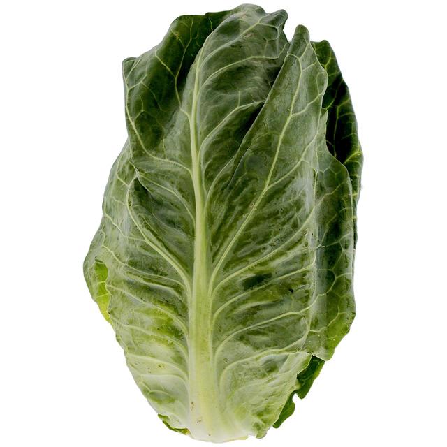 M & S Organic Sweet Heart Cabbage, One Size