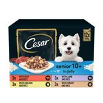 Cesar Senior Wet Dog Food Pouches Mixed Selection in Jelly 