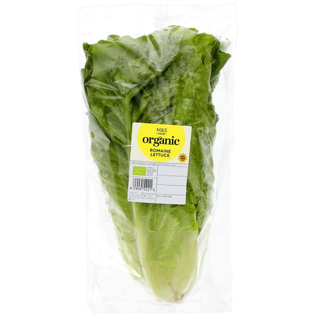 M & S Organic Romaine Lettuce, One Size