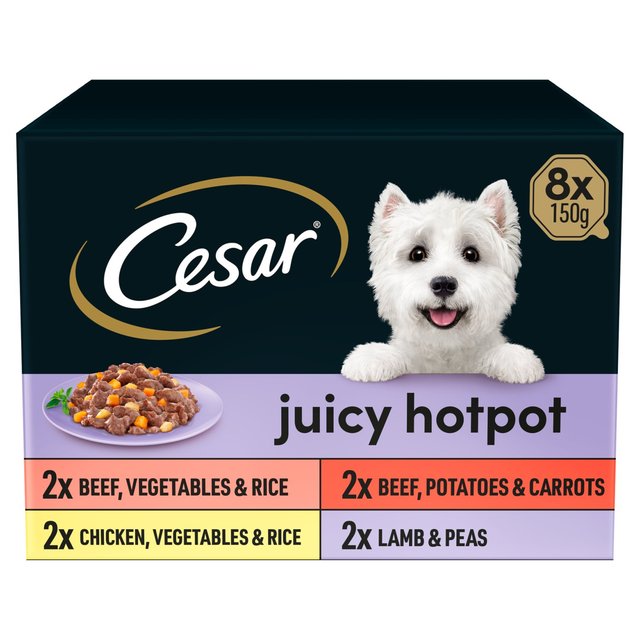 Cesar Juicy Hotpot Adult Wet Dog Food Trays Mixed in Gravy, 8 x 150g