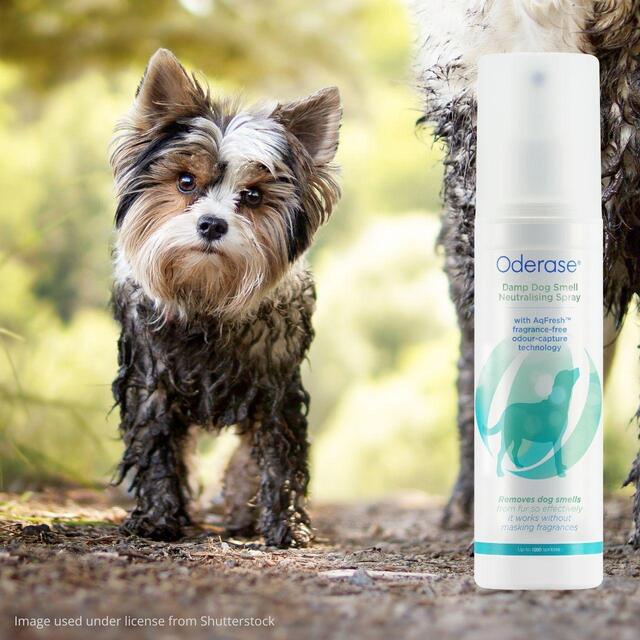 Oderase Damp Dog Smell Neutralising Spray Ocado