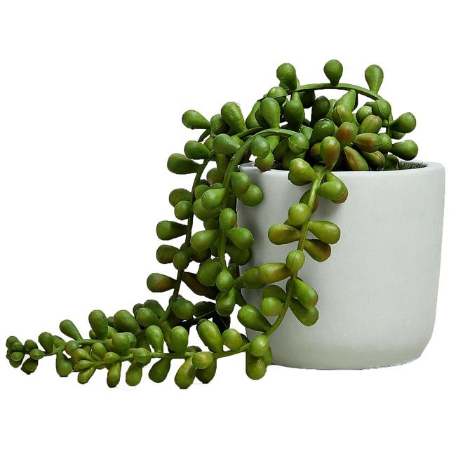 M & S Artificial Mini String of Pearls in Pot, Green, 39x13x13cm