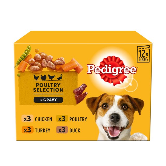 Pedigree Adult Wet Dog Food Pouches Mixed Varieties in Gravy, 12 x 100g