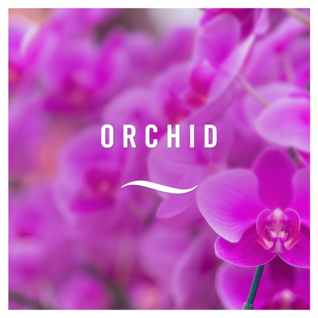 Febreze Zero% Air Mist Refill Orchid