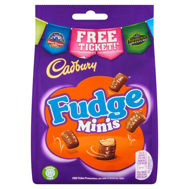 Cadbury Fudge Minis Chocolate Bag, 120g