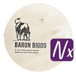 Baron Bigod