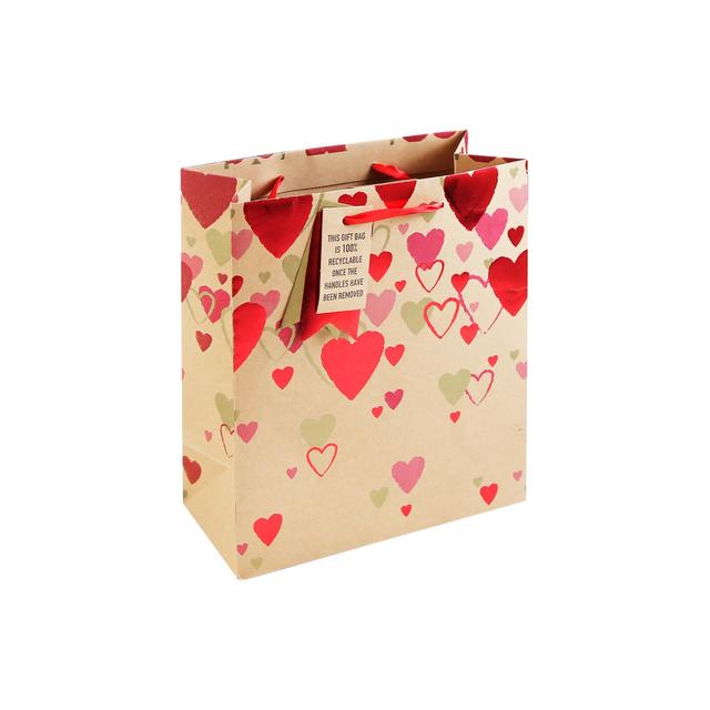 Eurowrap Hearts Valentine’s Day Gift Bag