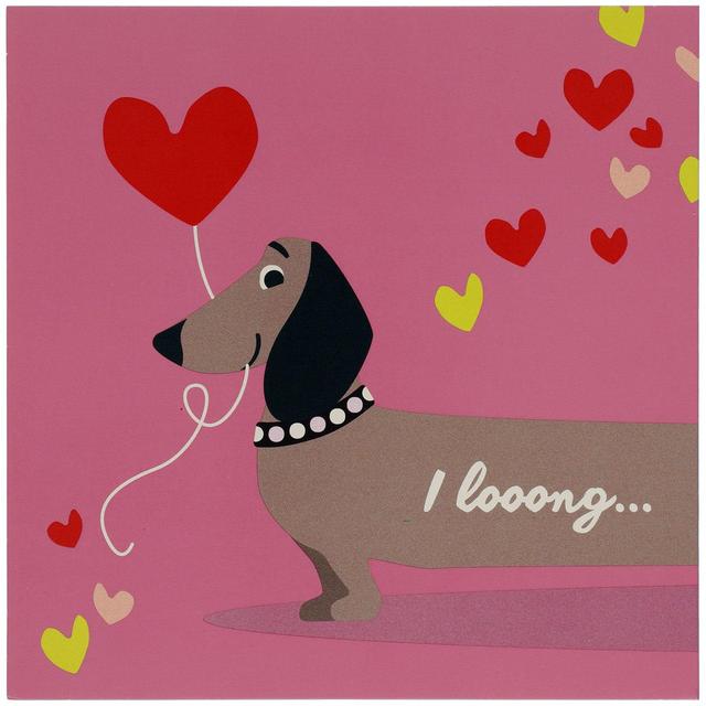 Hallmark M & S Pull Out Sausage Dog Valentine’s Day Card