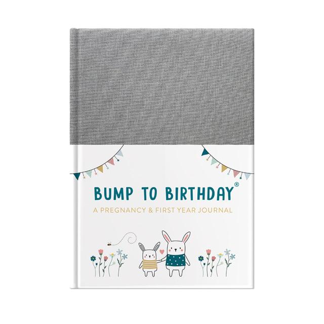 From You To Me Bump to Birthday, A Pregnancy & First Year Journal