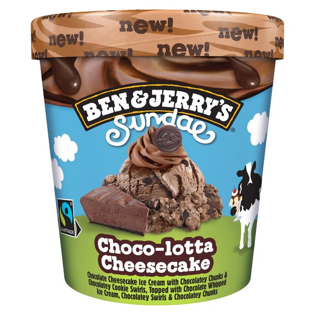 Ben & Jerry’s Sundae Choco-lotta Cheesecake Ice Cream Tub, 427ml