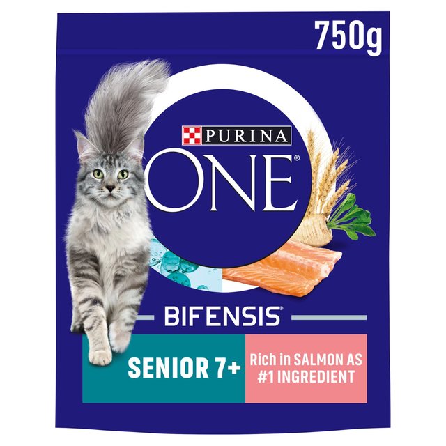 Purina One 7+ Dry Cat Food With Salmon, 750g