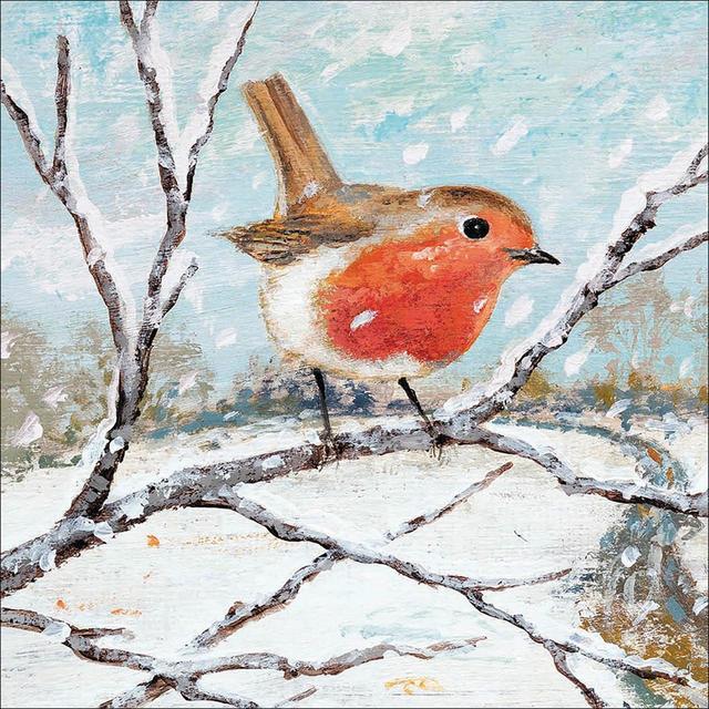 Rspb Charity Christmas Card Pack, 20 per Pack