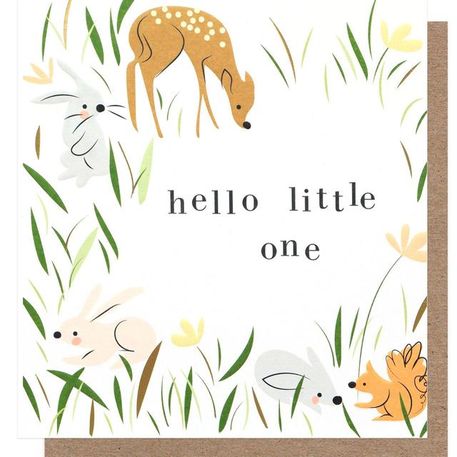 Caroline Gardner Hello Little One Woodland Critters New Baby Card