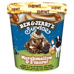 Ben & Jerry's Sundae Marshmallow & S'more! Chocolate Ice Cream Tub