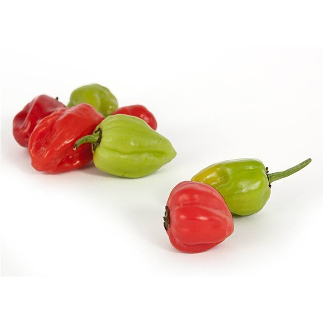 Ocado Scotch Bonnet Chillies Ocado