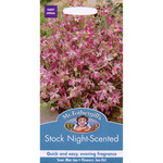 Mr Fothergill's Seeds - Stock Night Scented