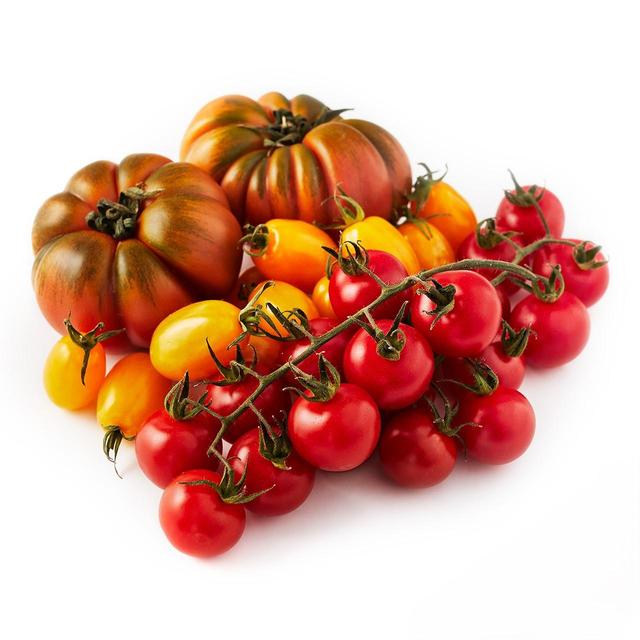 Natoora Seasonal Tomato Selection, 600g