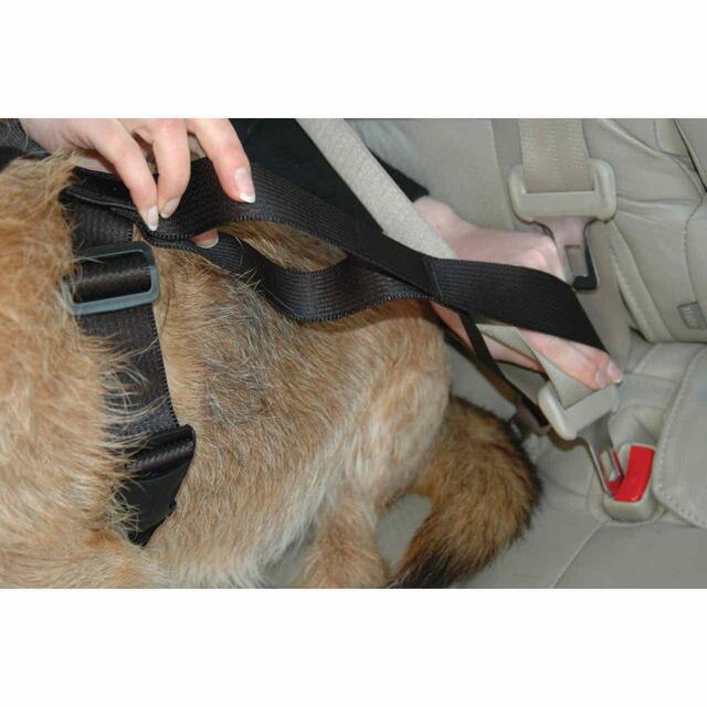 Clix Car Safe Dog Harness, Extra Small Ocado