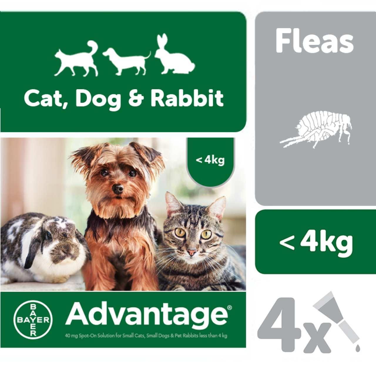 An image of Advantage 40 Spot on for Small Cats, Small Dogs and Rabbits up to 4KG