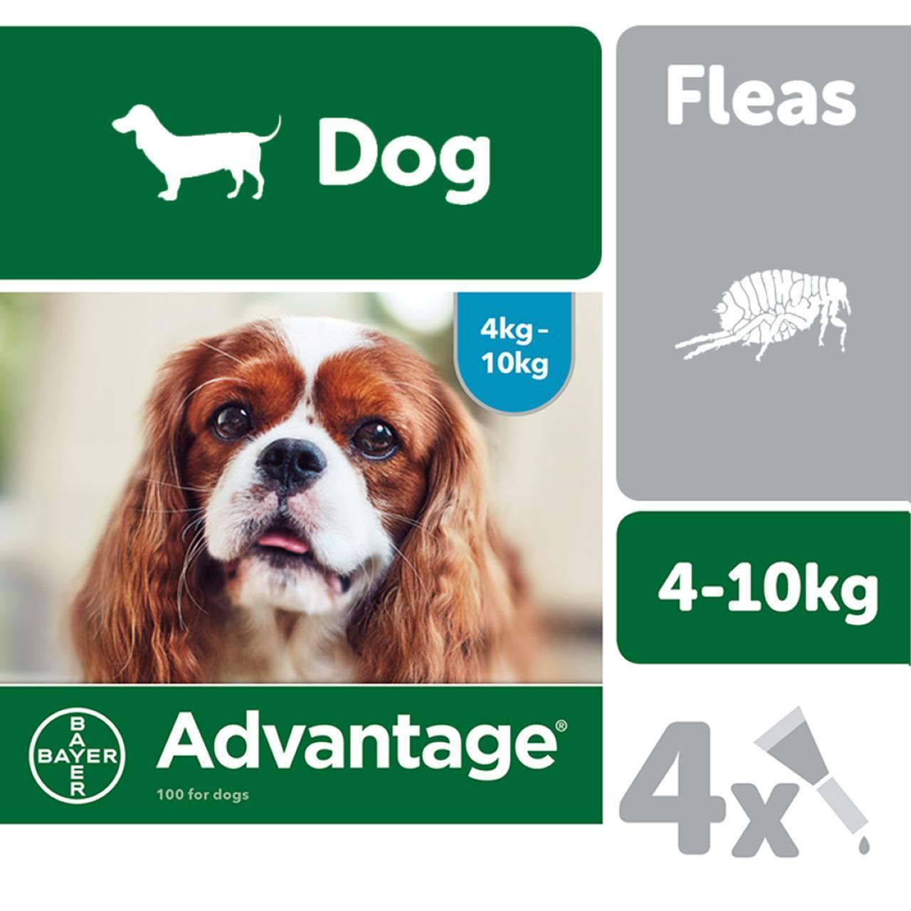 An image of Advantage 100 Spot on for Dogs 4-10Kg
