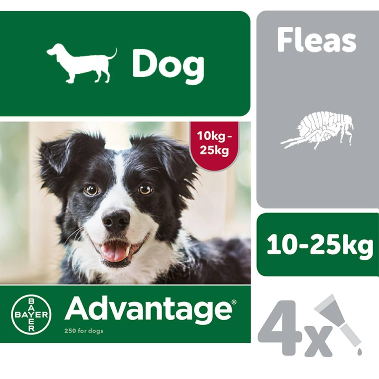 An image of Advantage 250 Spot on for Dogs 10-25Kg