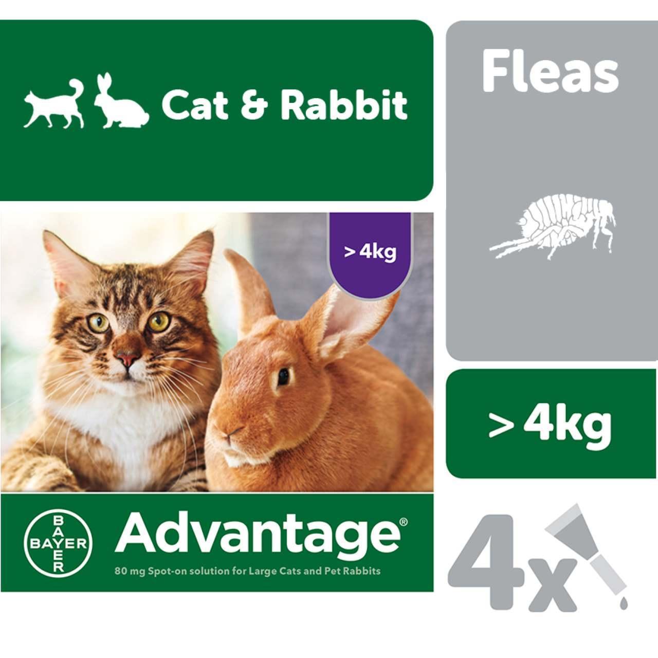 An image of Advantage 80 Spot On for Large Cats & Rabbits over 4Kg