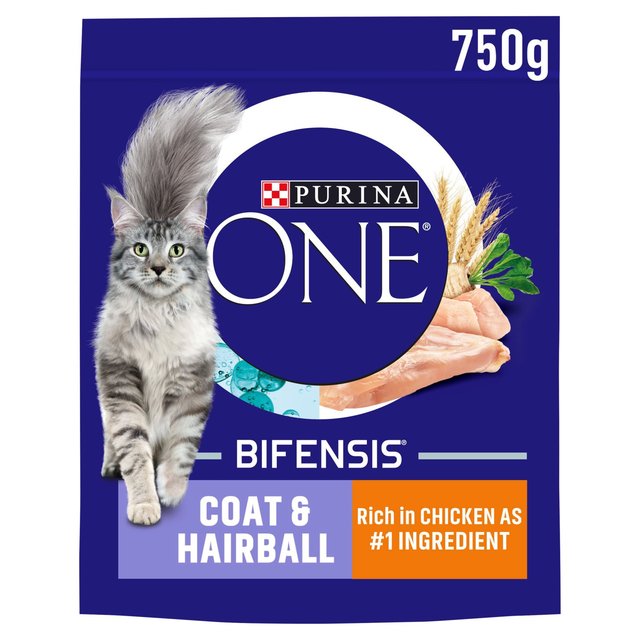 Purina ONE Coat and Hairball Dry Cat Food Chicken, 750g