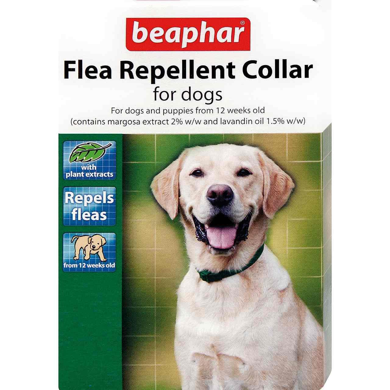 An image of Beaphar Flea Repellent Collar For Dogs