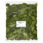 Watts Farms Washed Spinach