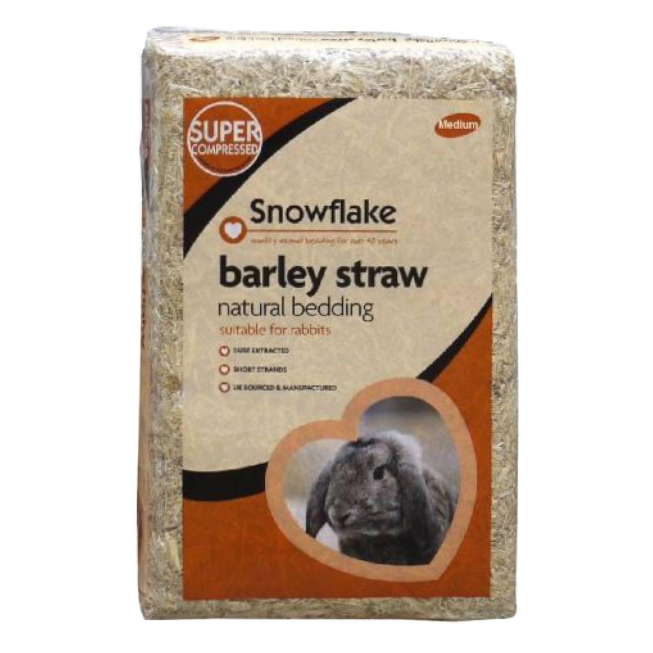 An image of Snowflake Barley Straw Medium