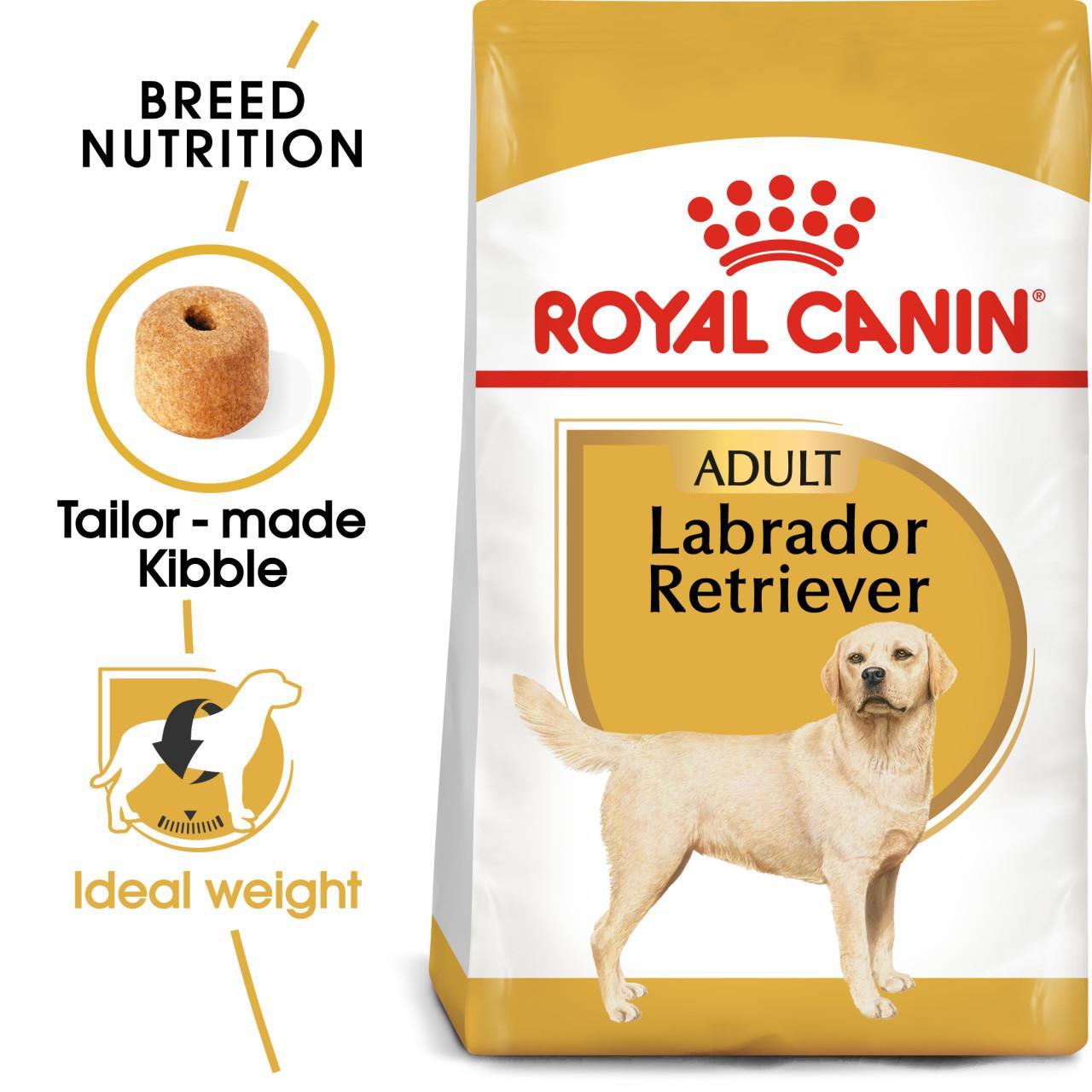 An image of Royal Canin Labrador Retriever Adult